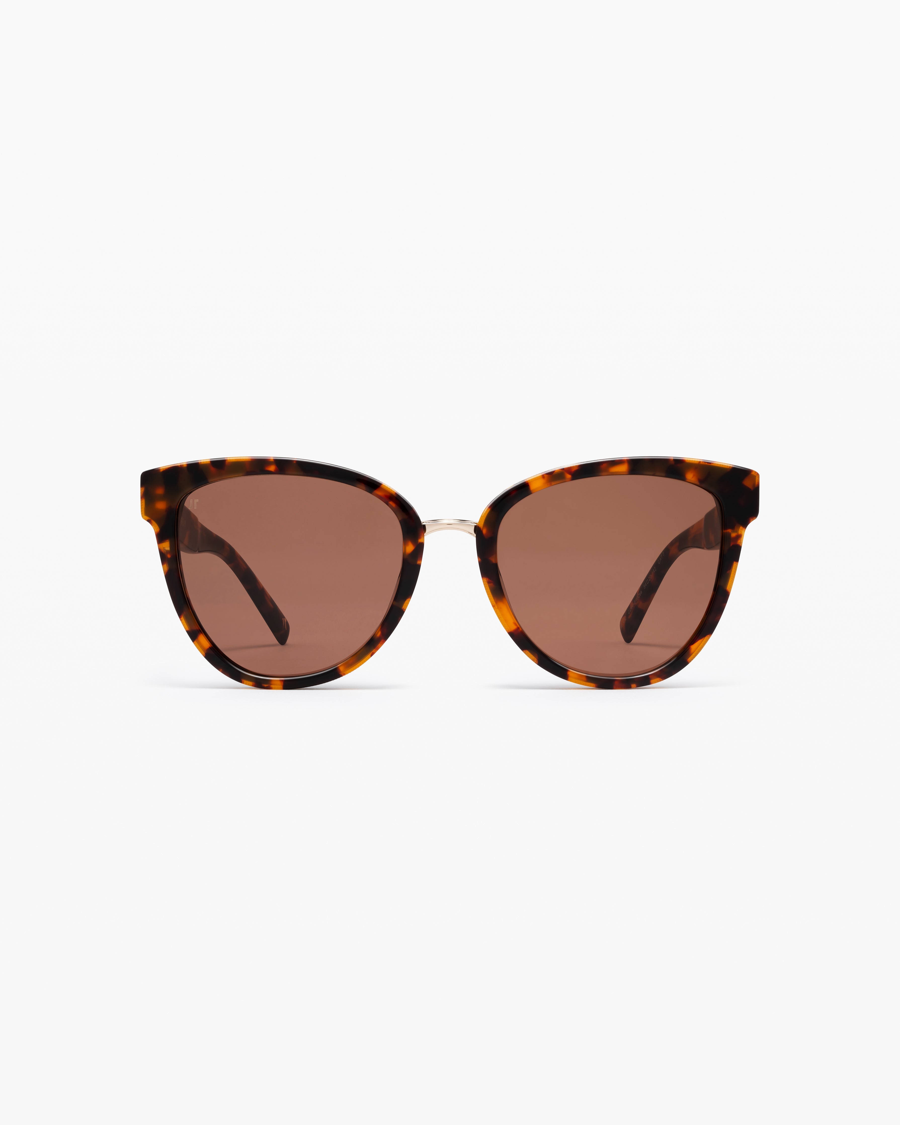 jimmy-fairly-la-bellagio-lunettes-de-soleil-papillon-oversize-dark-tortoise-femm image 1