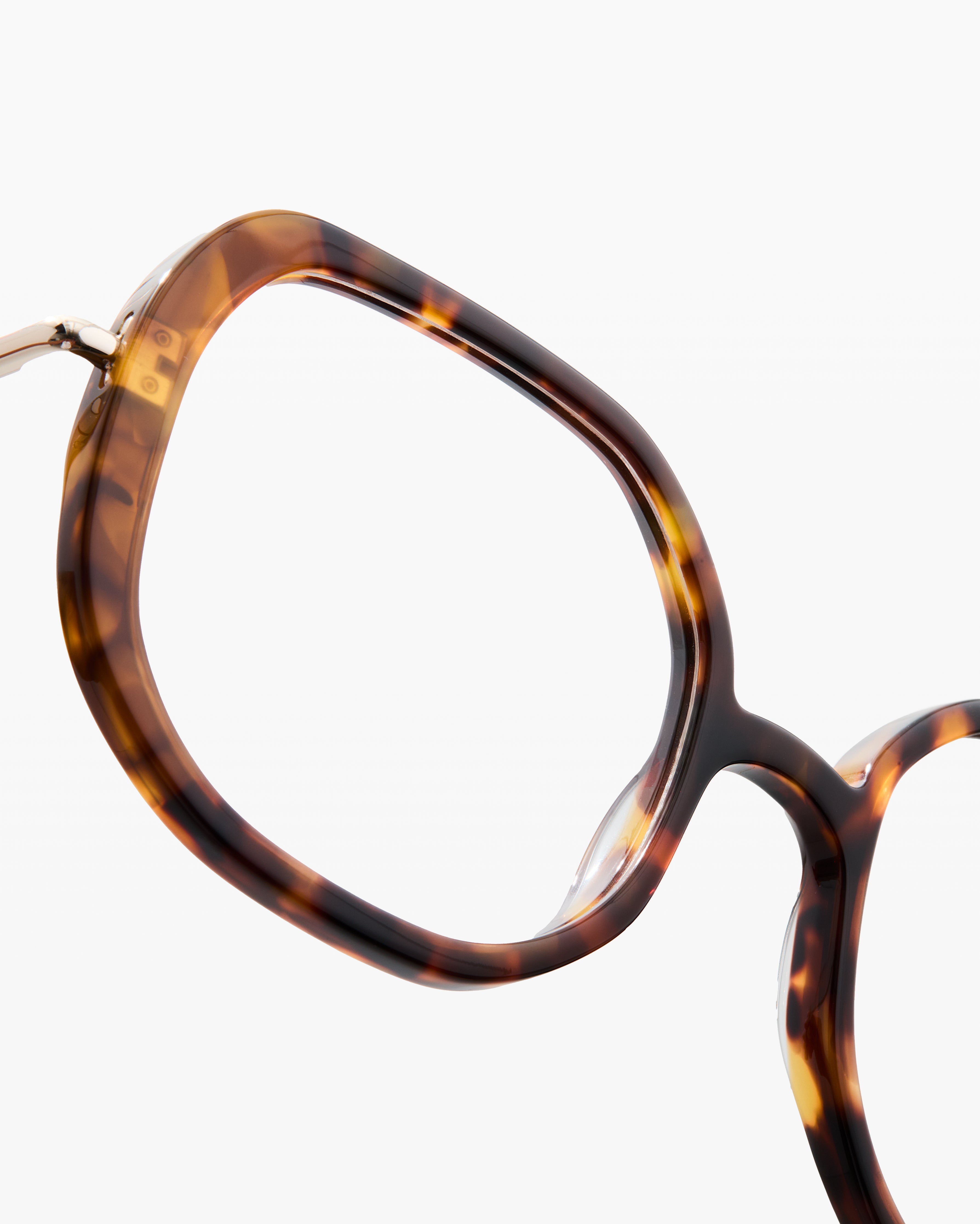 jimmy-fairly-la-posy-s-lunettes-de-vue-carr-es-caille-fonc-e-ac-tate-durable-vis image 3