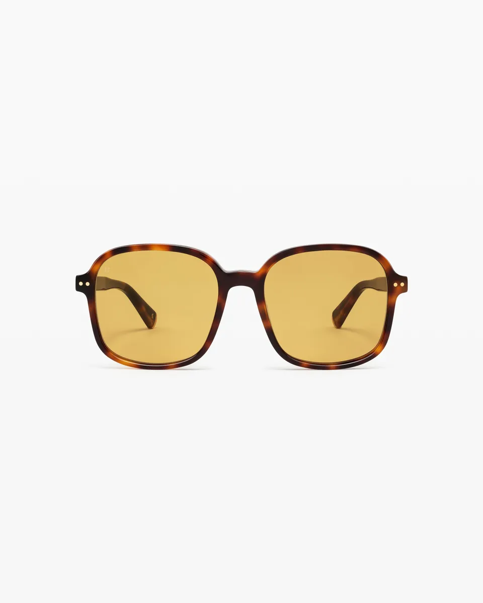 jimmy-fairly-la-sand-jf-colors-lunettes-de-soleil-carr-es-en-ac-tate-caille-fonc image 1