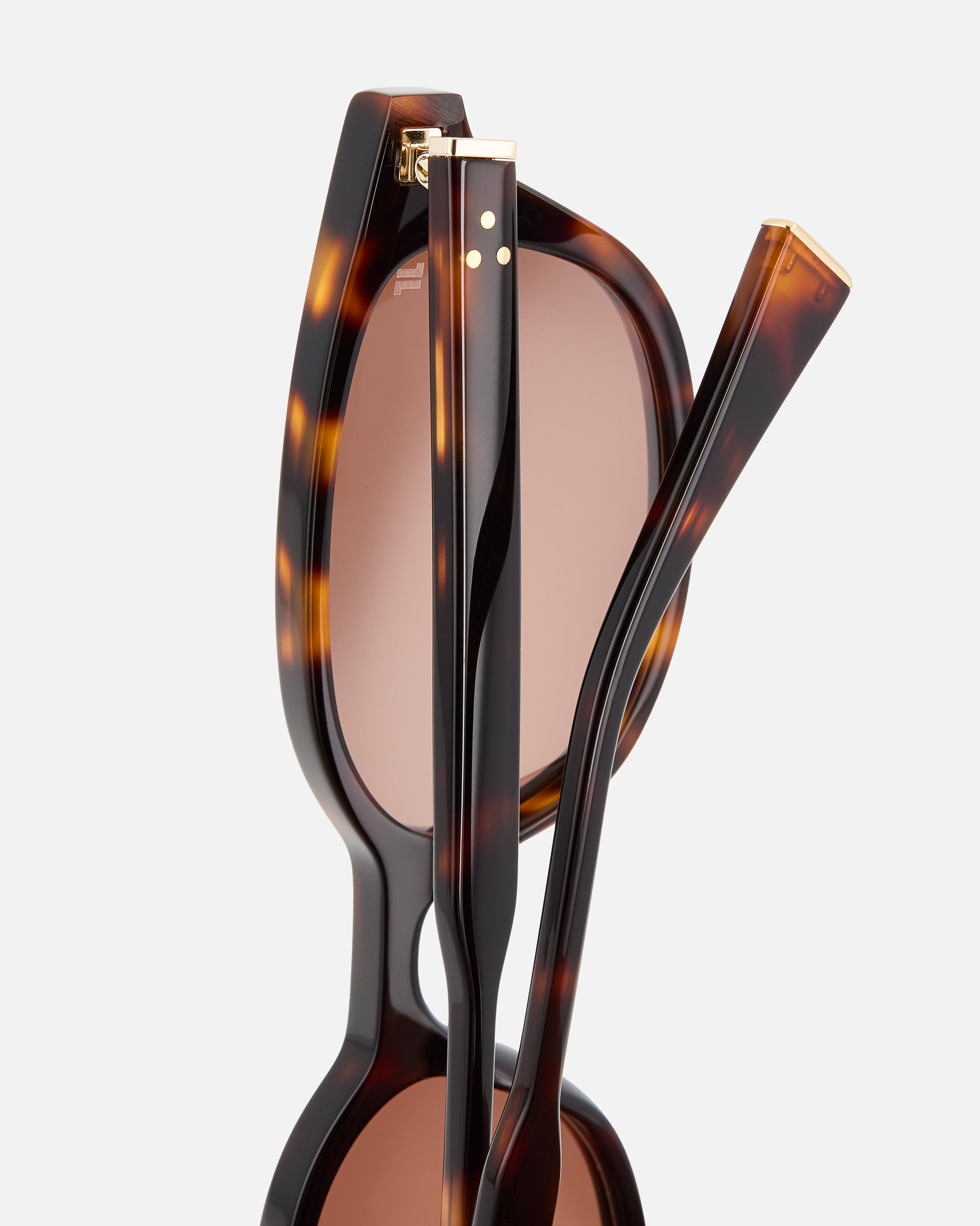 jimmy-fairly-la-pippa-lunettes-de-soleil-papillon-en-ac-tate-de-cellulose-caille image 7