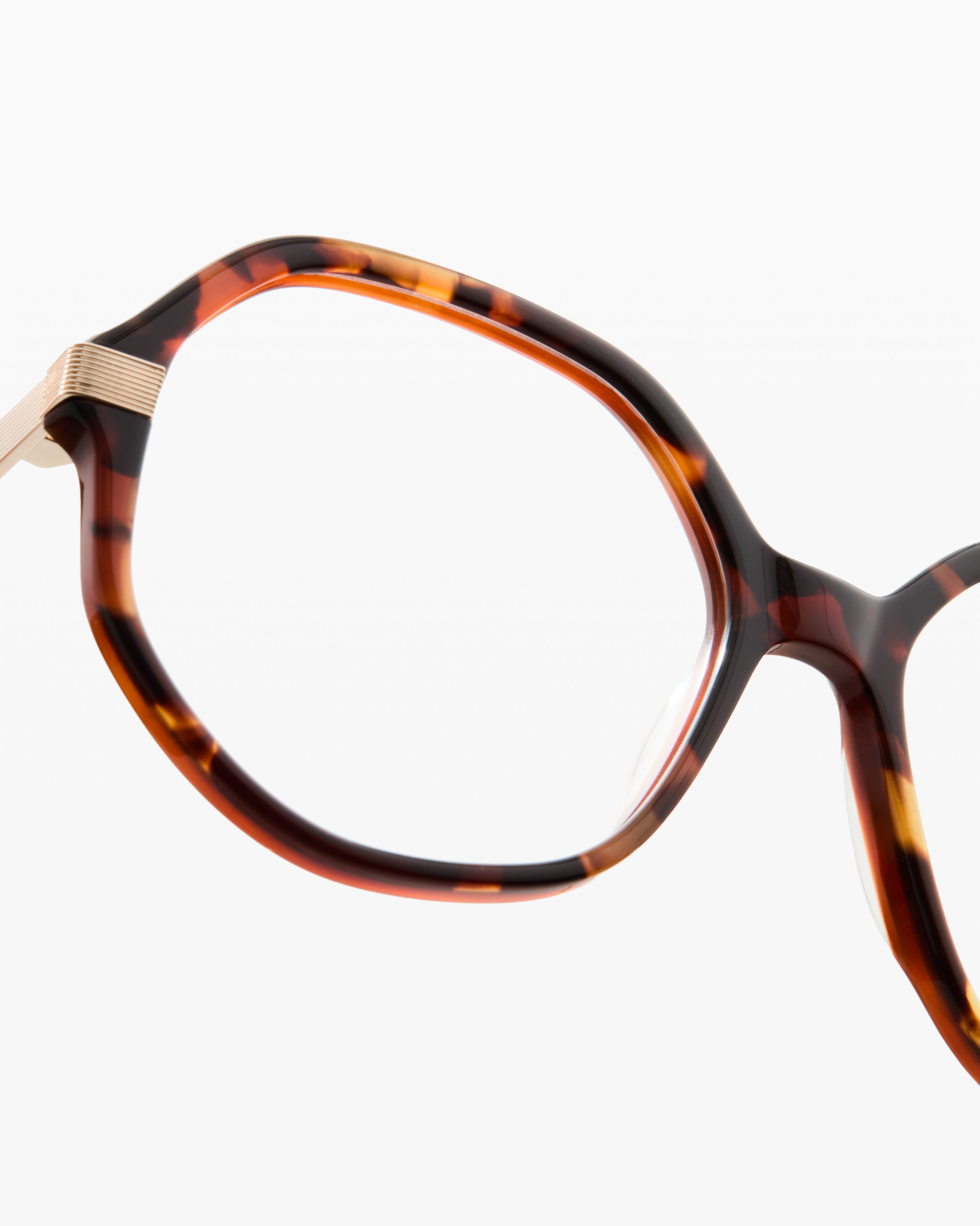 jimmy-fairly-la-lison-lunettes-de-vue-rectangulaires-oversize-ac-tate-caille-cha image 5